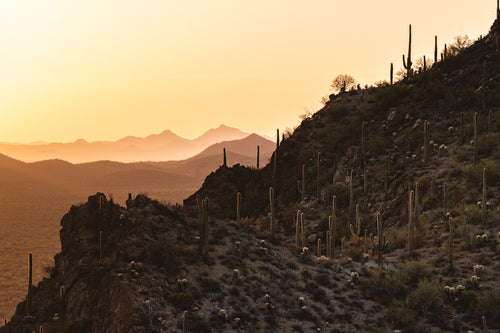 At the desert's mercy