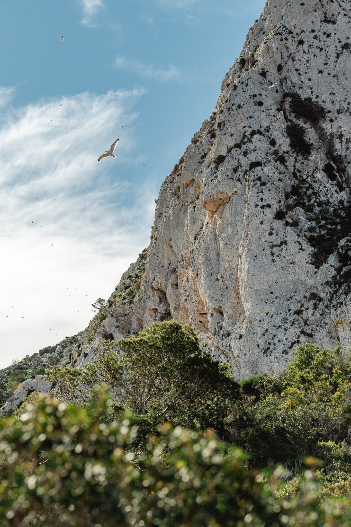 Free as a rock, steady as a bird